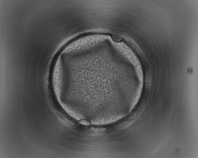 X0000102020484200808081752