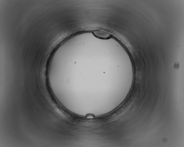X0000102020485200808081752