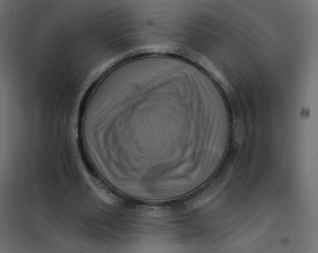 X0000102020486200808081752