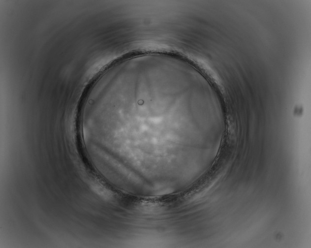 X0000102020487200808081752