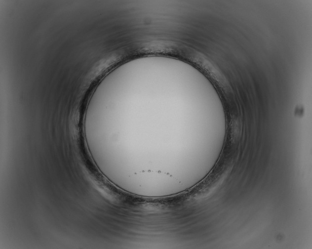 X0000102020490200808081752