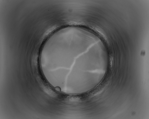 X0000102020491200808081752