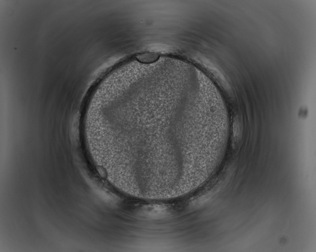 X0000102020492200808081752