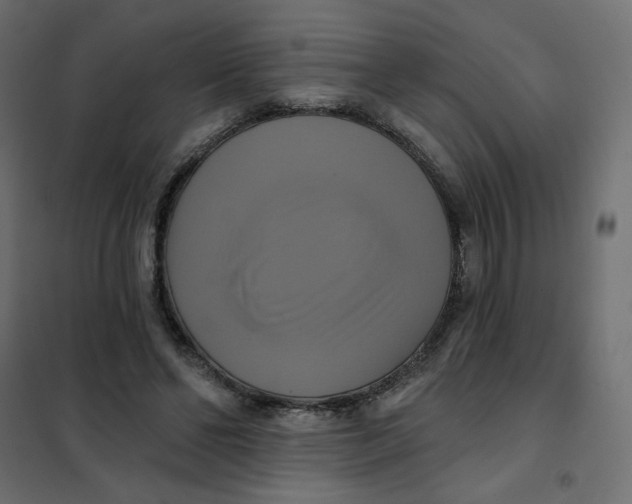 X0000102020494200808081752