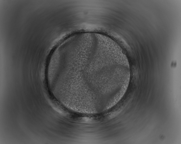 X0000102020496200808081752
