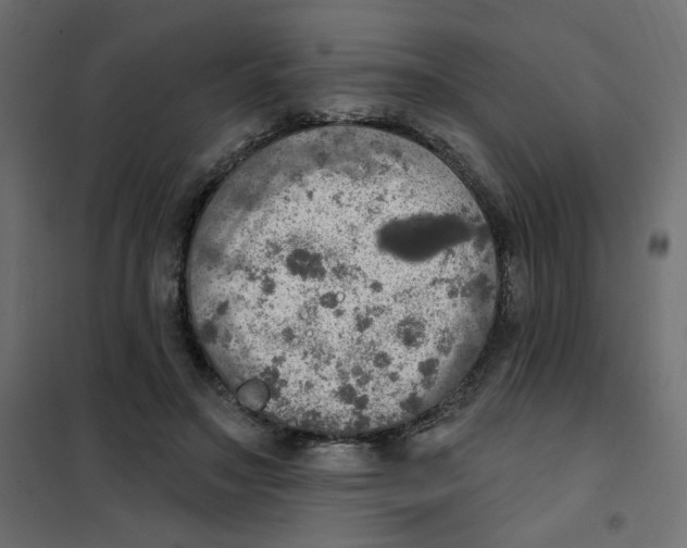 X0000102020499200808081752