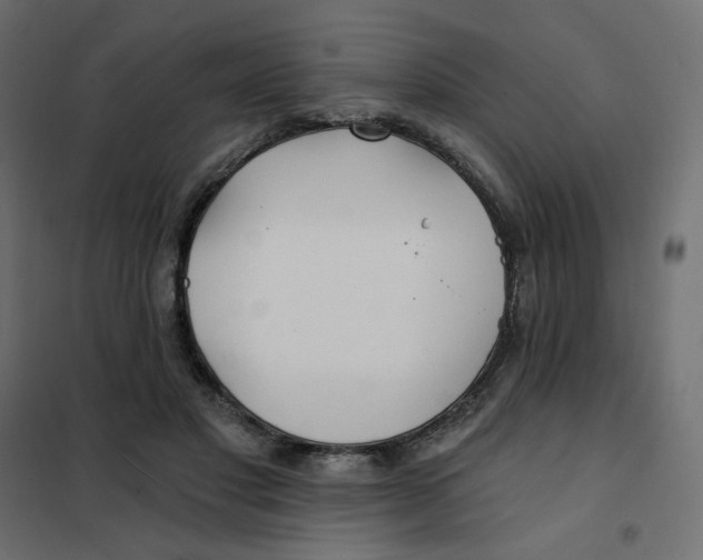 X0000102020501200808081752