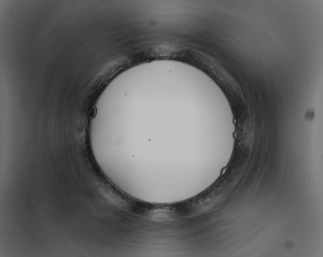 X0000102020505200808081752