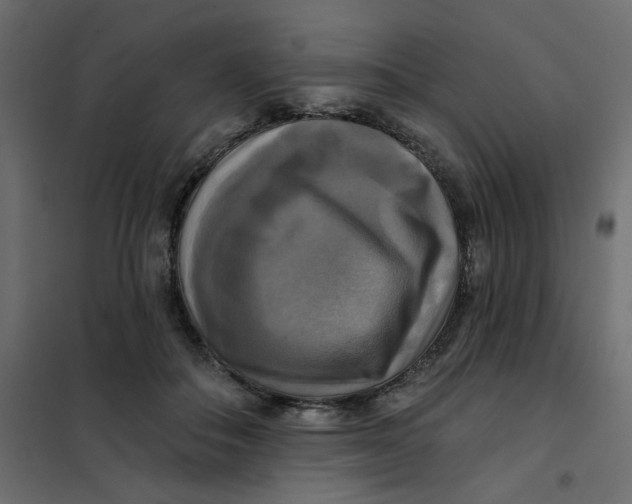 X0000102020506200808081752