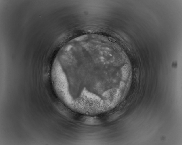 X0000102020507200808081752