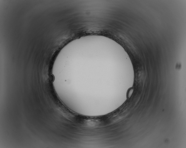 X0000102020508200808081752
