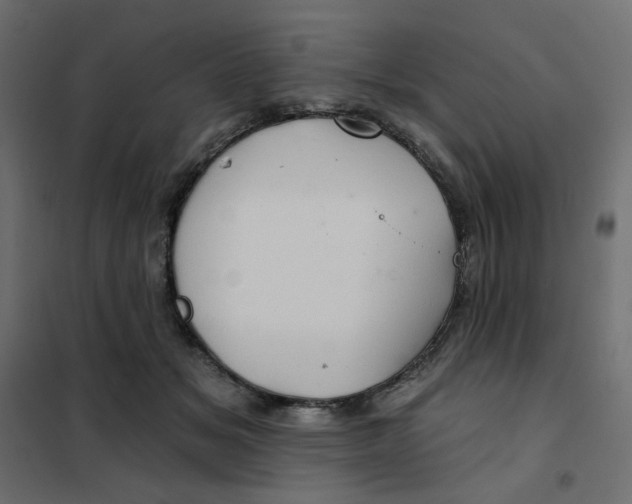 X0000102020509200808081752