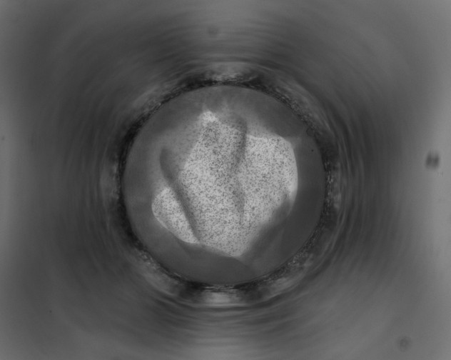 X0000102020510200808081752