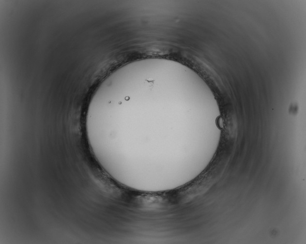 X0000102020512200808081752