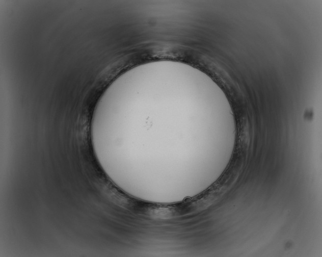 X0000102020513200808081752