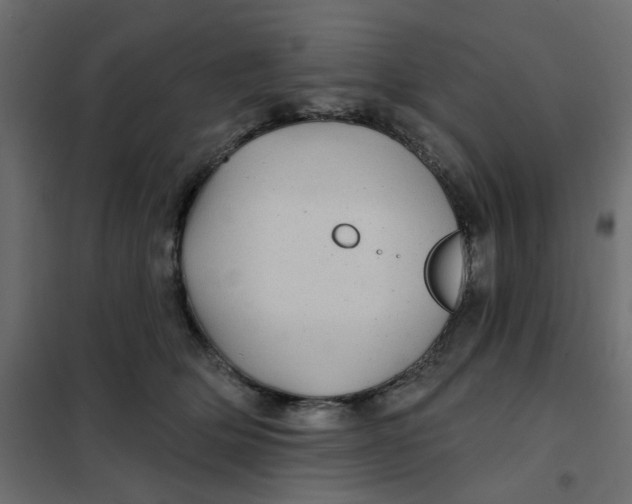 X0000102020514200808081752