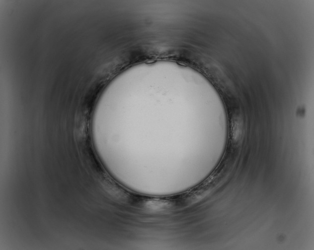 X0000102020515200808081752