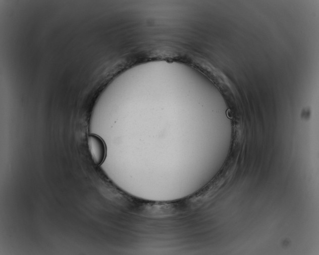 X0000102020517200808081751