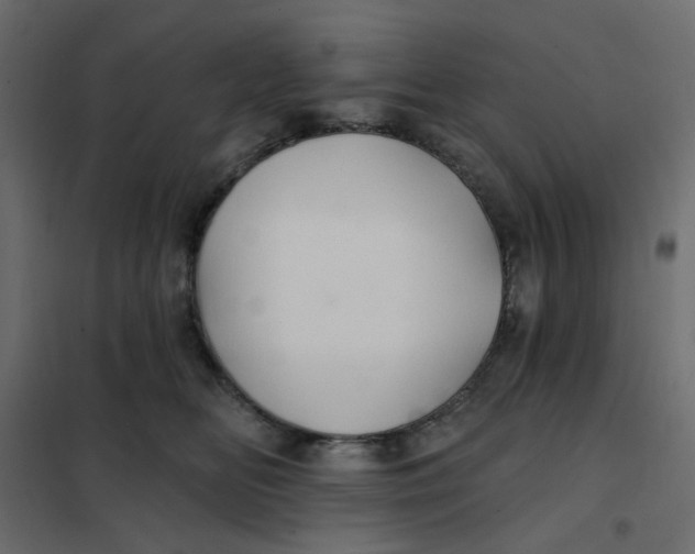 X0000102020518200808081751