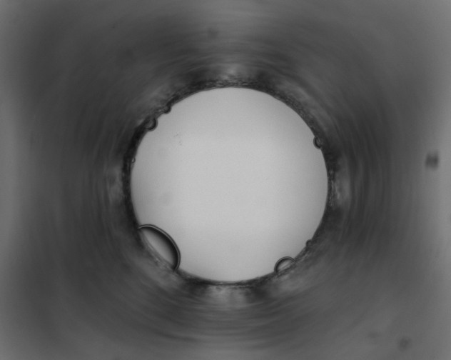 X0000102020520200808081751