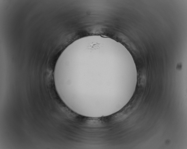 X0000102020521200808081751