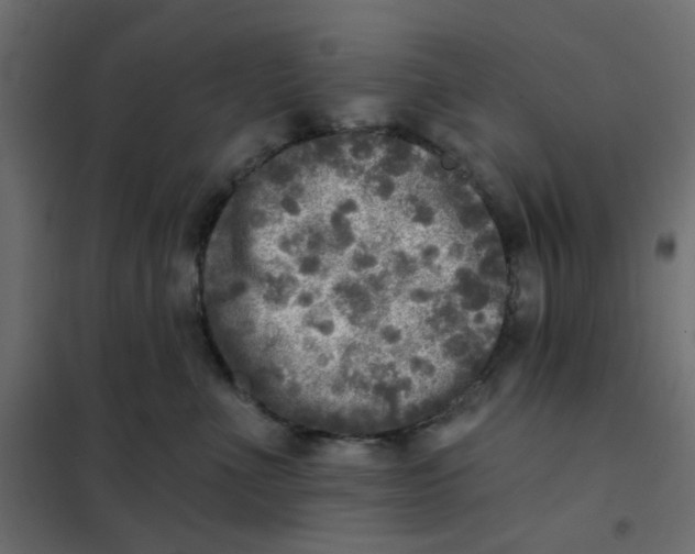 X0000102020523200808081751