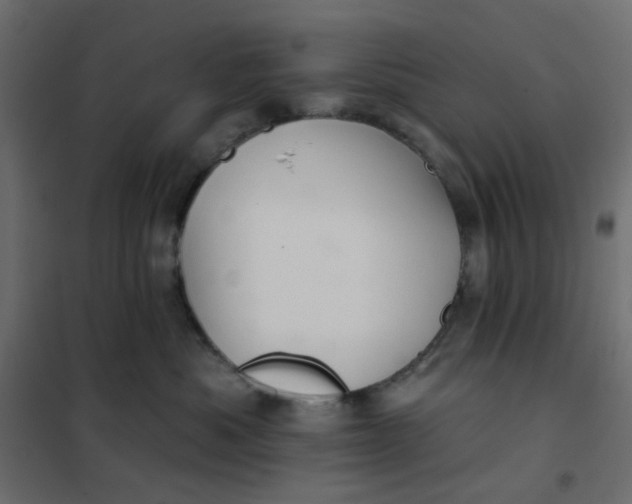 X0000102020525200808081751