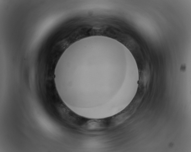 X0000102020526200808081751