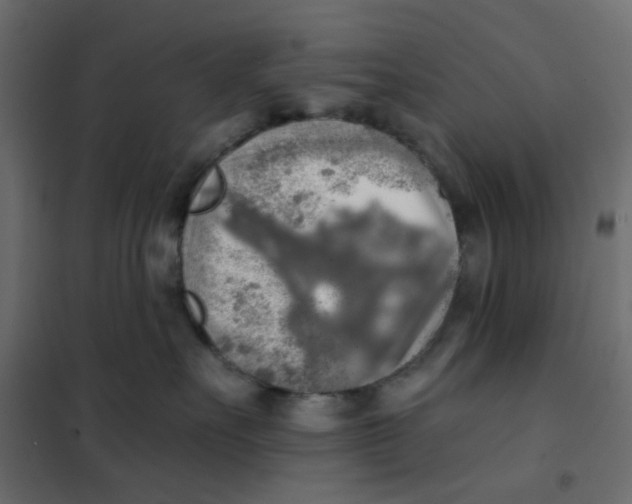 X0000102020527200808081751