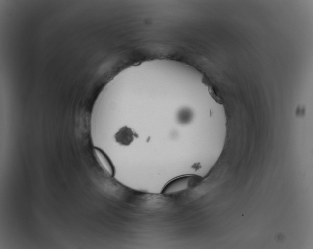 X0000102020528200808081751
