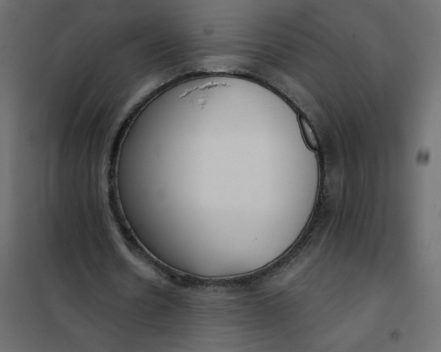 X0000102020530200808081751