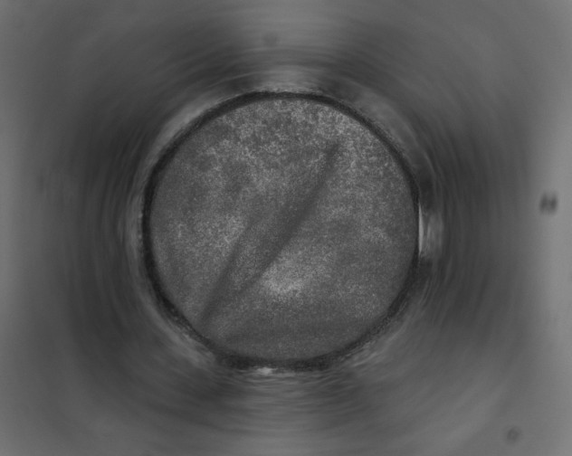X0000102020531200808081751