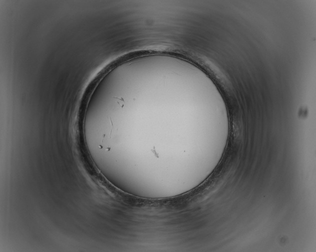 X0000102020532200808081751