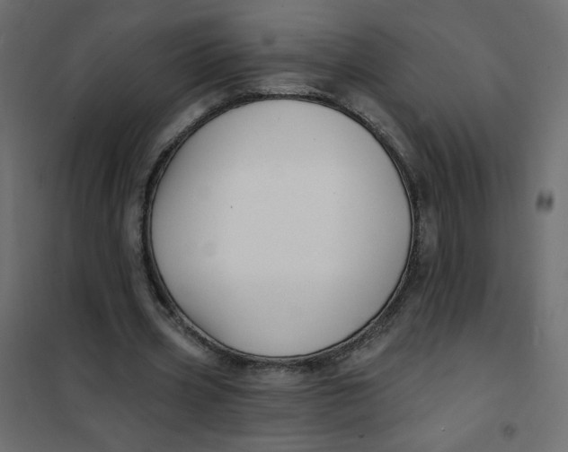 X0000102020533200808081751