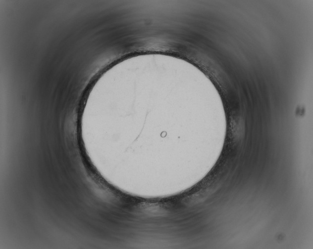 X0000102020534200808081751