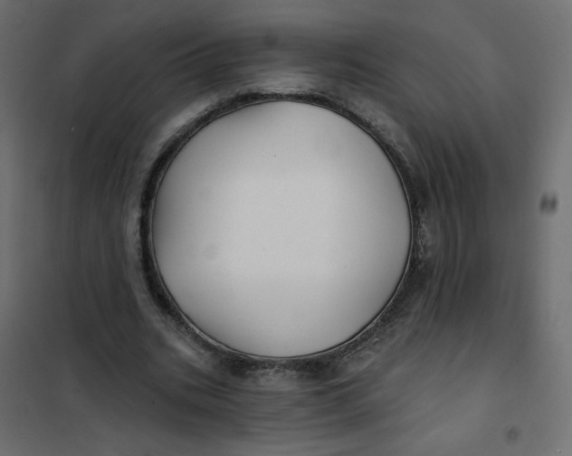 X0000102020535200808081751