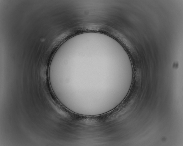 X0000102020537200808081751