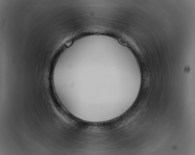 X0000102020538200808081751