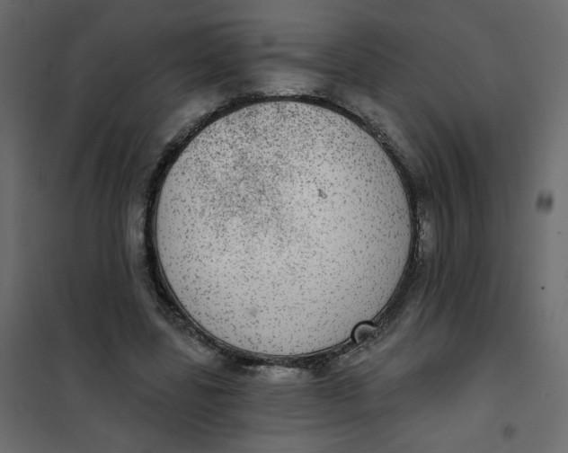 X0000102020539200808081751