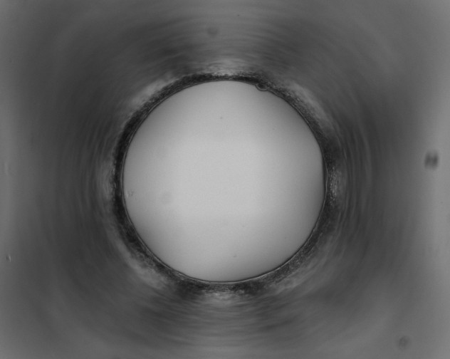 X0000102020540200808081751