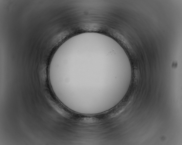 X0000102020541200808081751