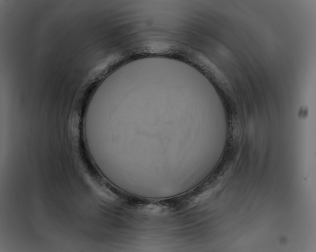 X0000102020542200808081751