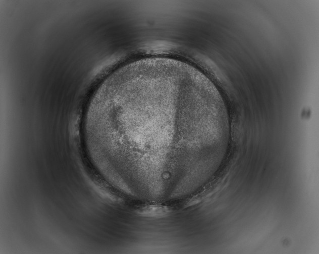 X0000102020543200808081751