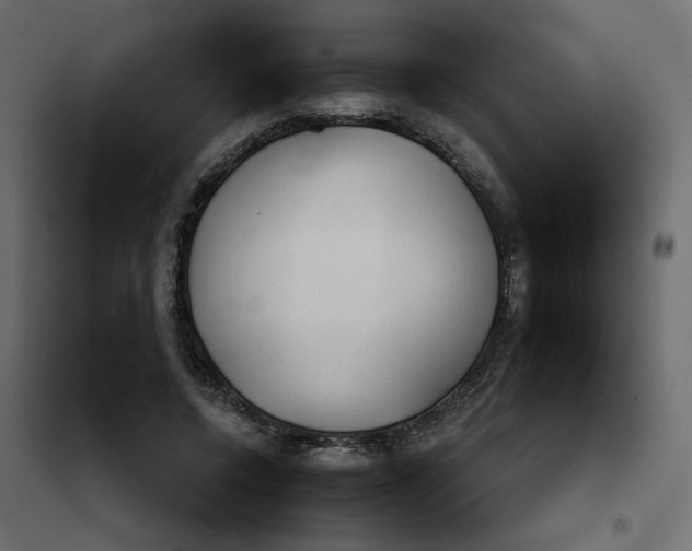 X0000102020544200808081751