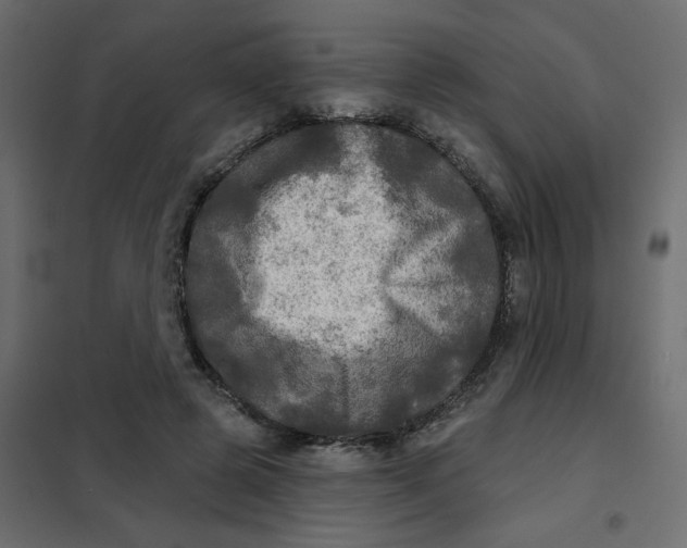 X0000102020545200808081751