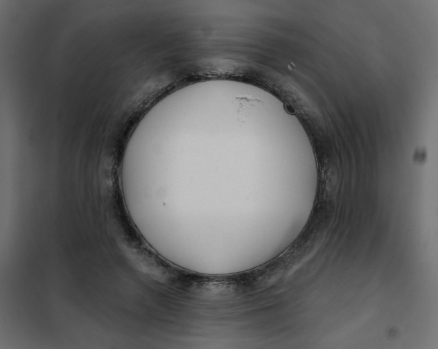 X0000102020546200808081751