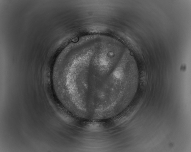 X0000102020547200808081751