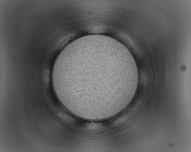 X0000102020549200808081751