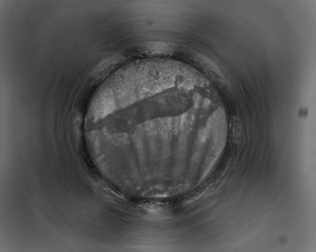 X0000102020550200808081751