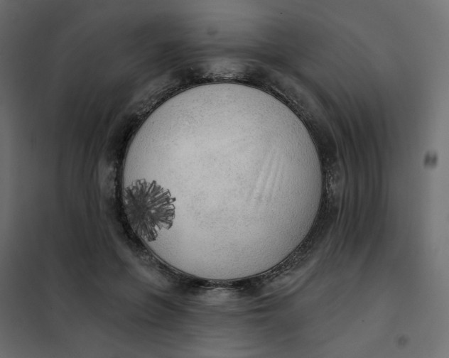 X0000102020551200808081751